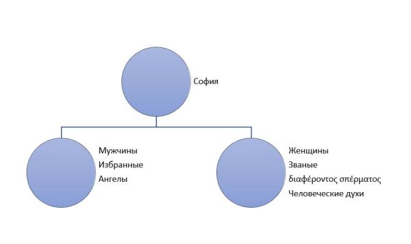 Мужское и женское по Теодоту
